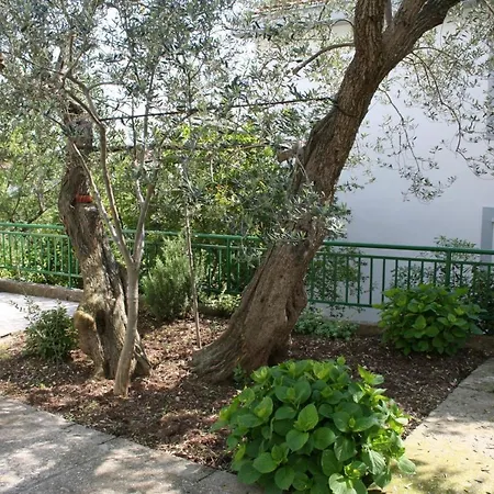 Gasthof Apartments And Rooms By The Sea Zaostrog, Makarska - 2661